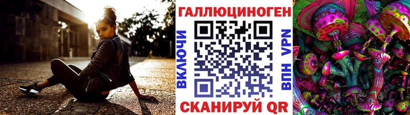 Псилоцибиновые грибы Psilocybine cubensis цена OMG сайт Заозёрный
